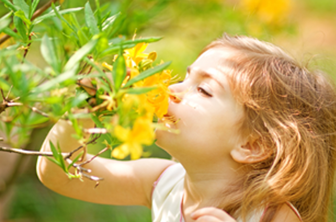 Obesità e sovrappeso nei bambini